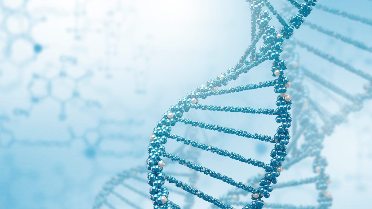 Цепочка ДНК DNA