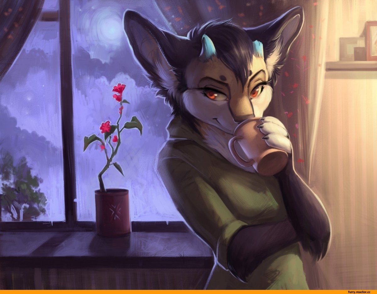 Фурри Блаир