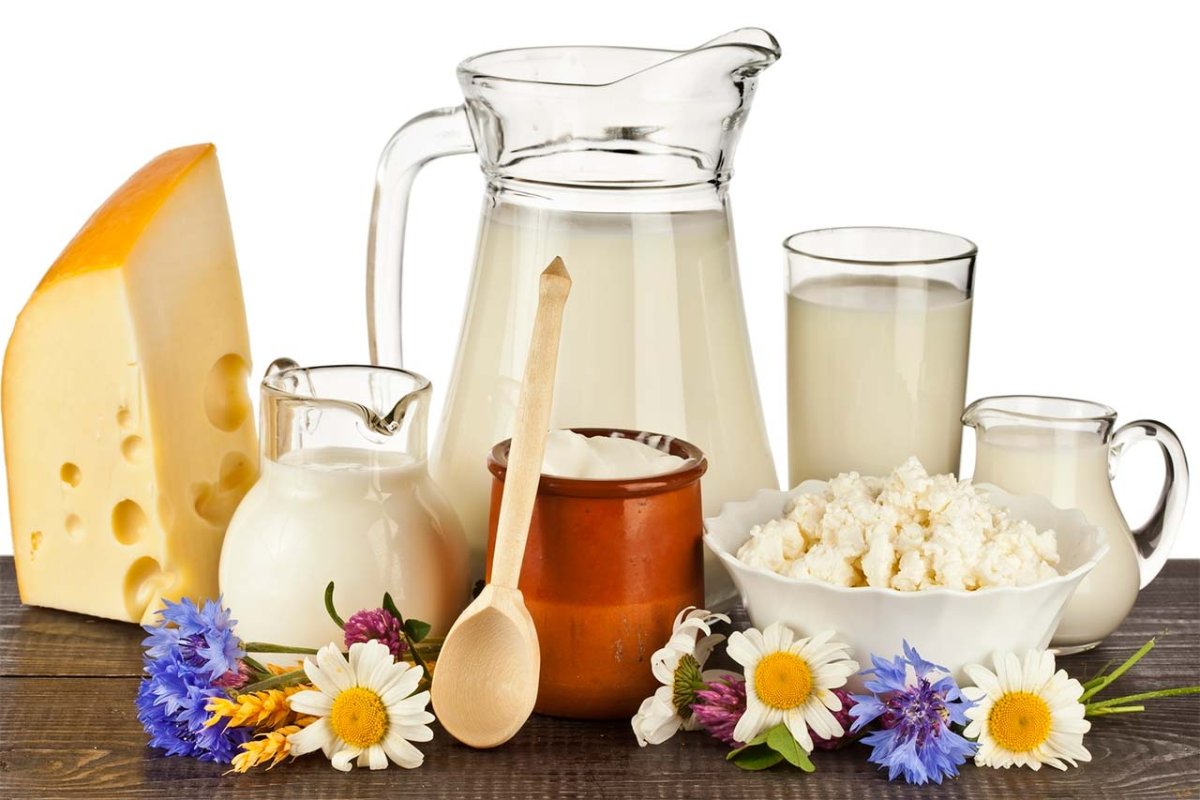 Молочные продукты