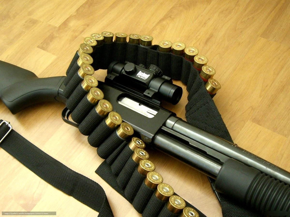 Shotgun оружие