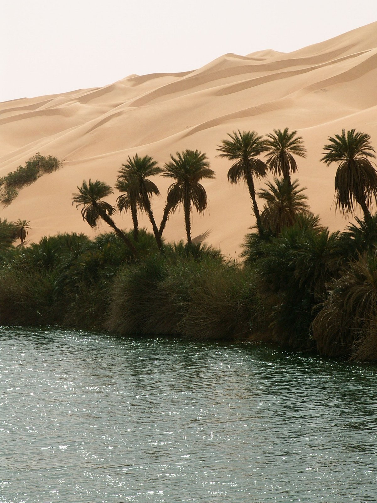 Оазис озеро Юэяцюань