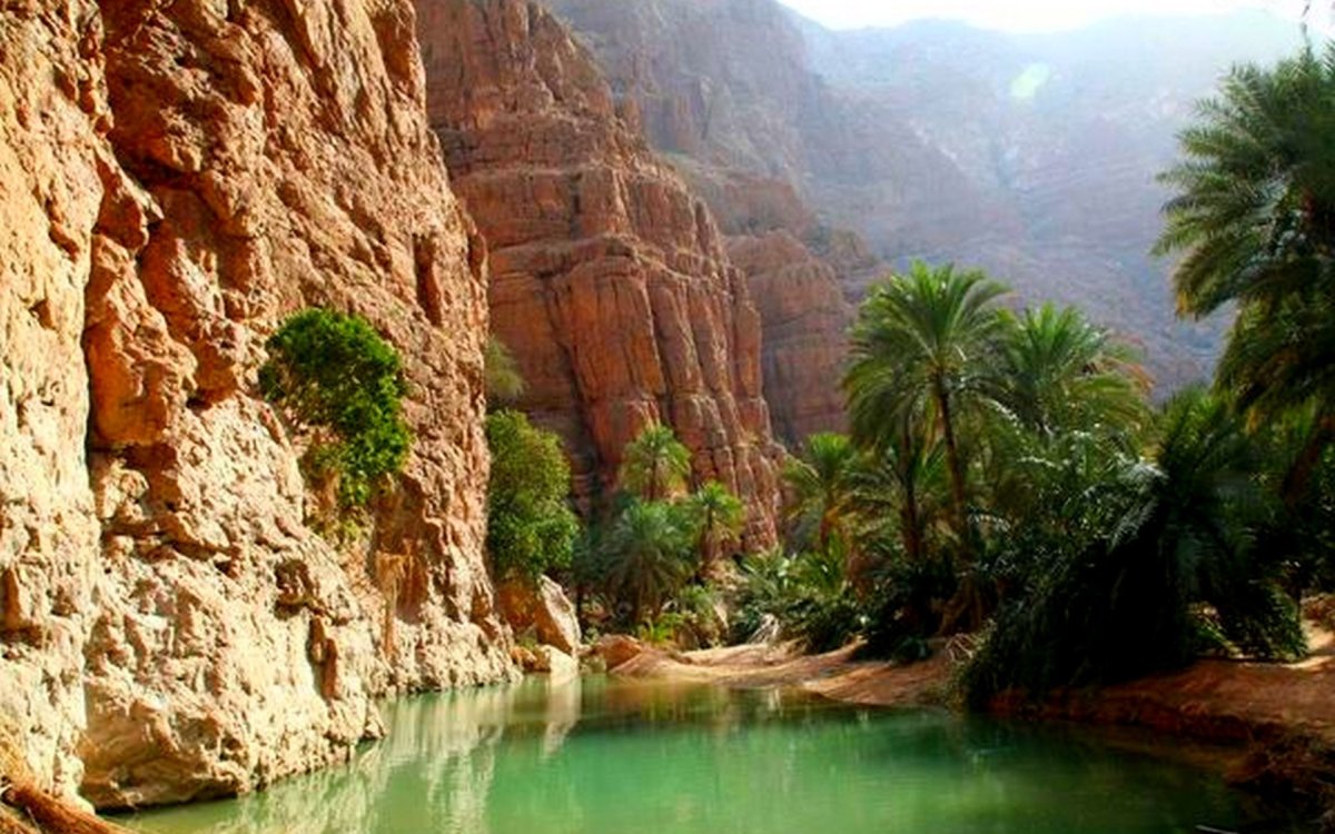 Оазис пустыни и полупустыни