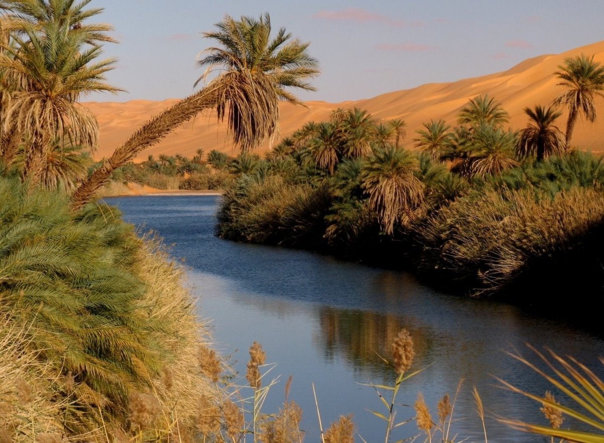 Живописный Оазис