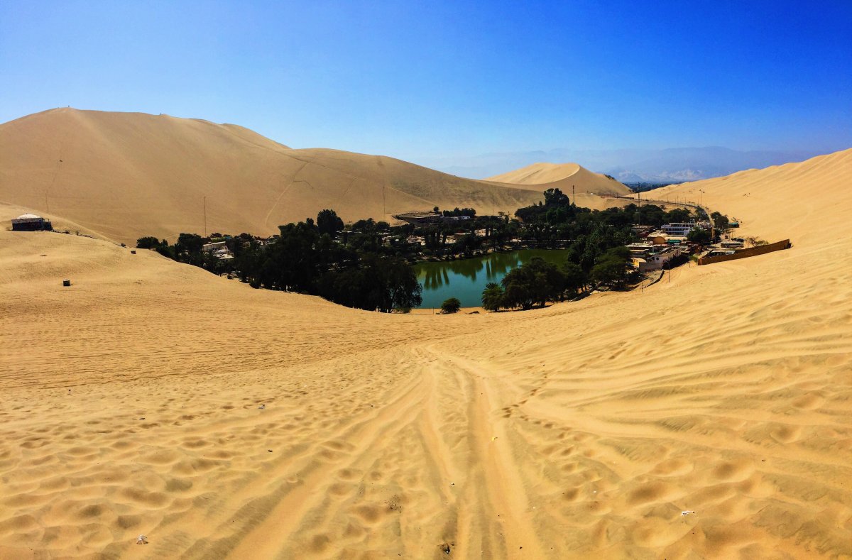 Культурный ландшафт оазиса Эль-Хаса al-Hasa