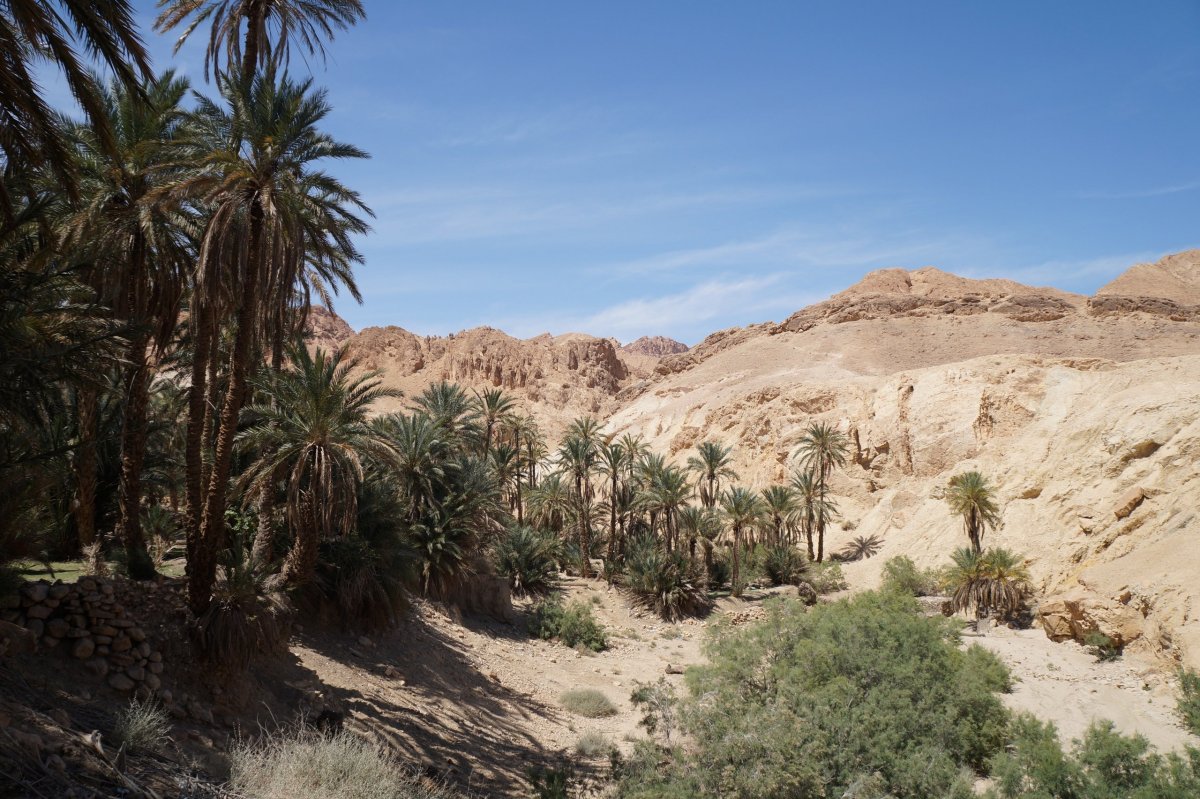 Марокко Оазис