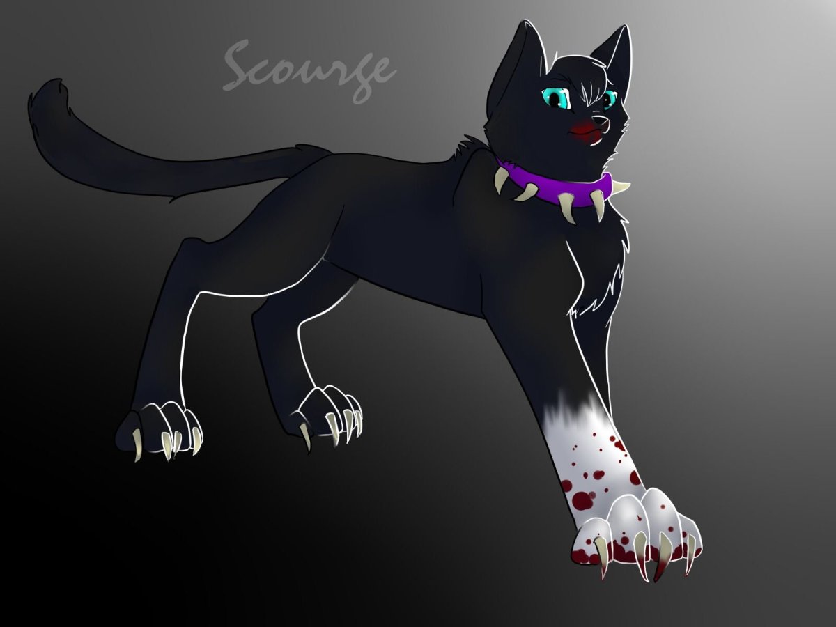 Коты Воители Scourge