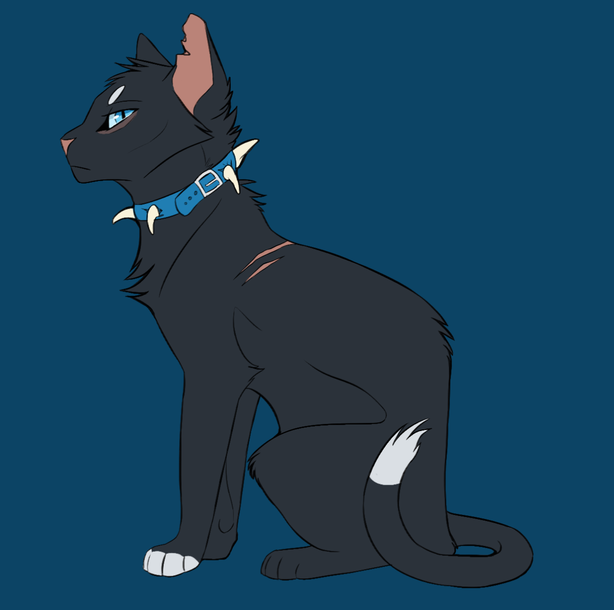 Коты Воители Бич плачет