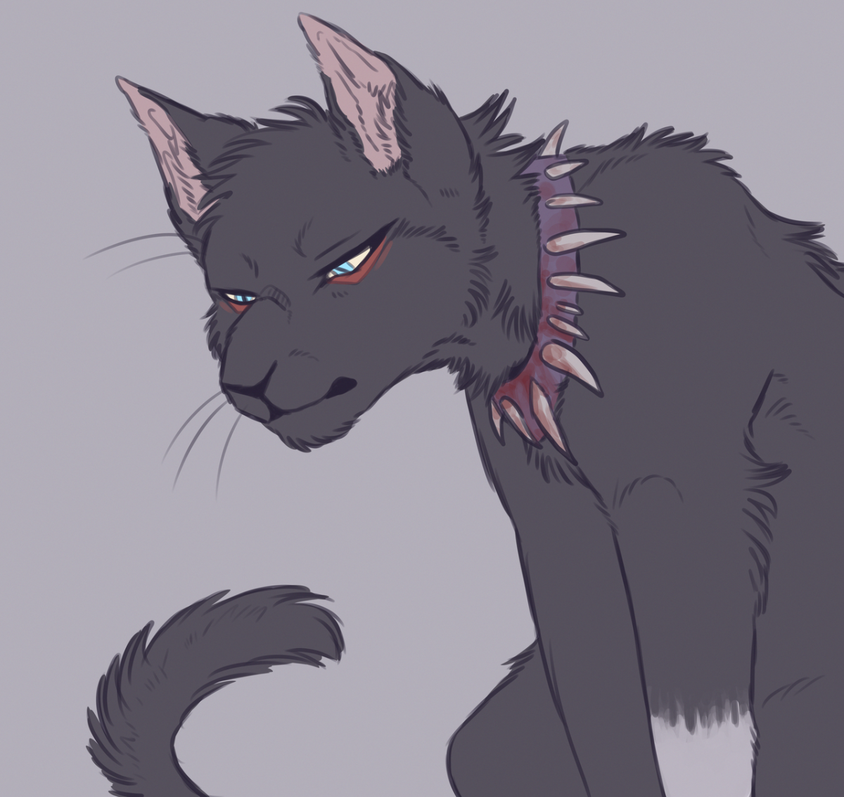 Бич коты Воители арт