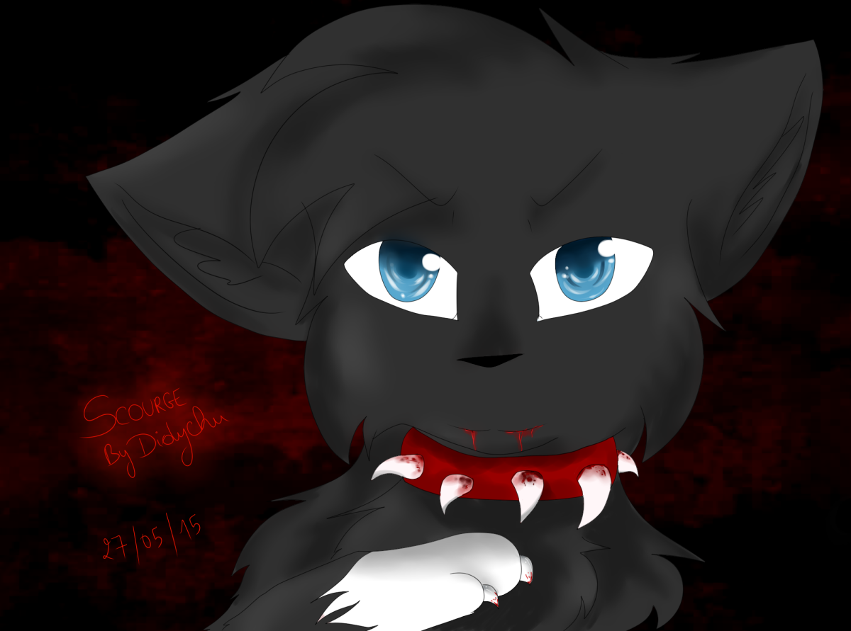 Коты Воители Бич Scourge