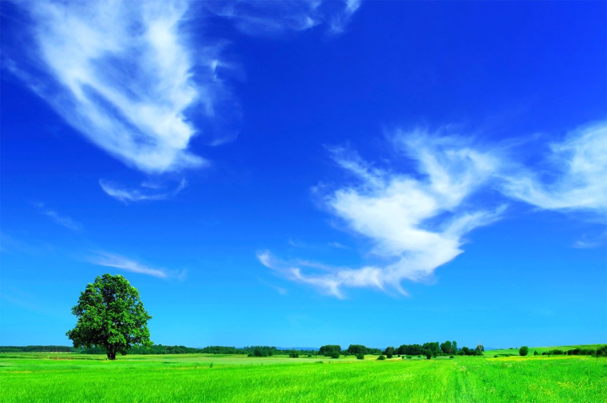 Чистый воздух