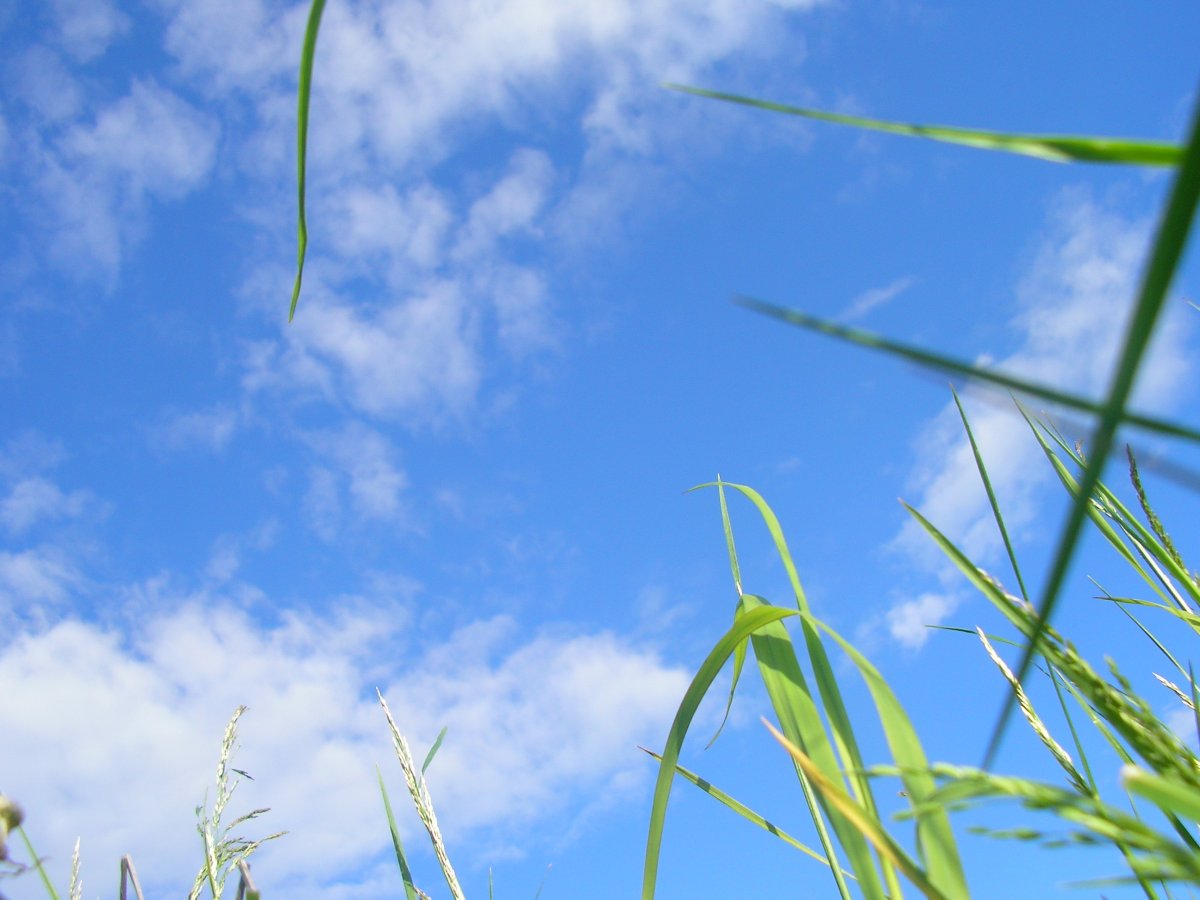 Атмосферный воздух чистый