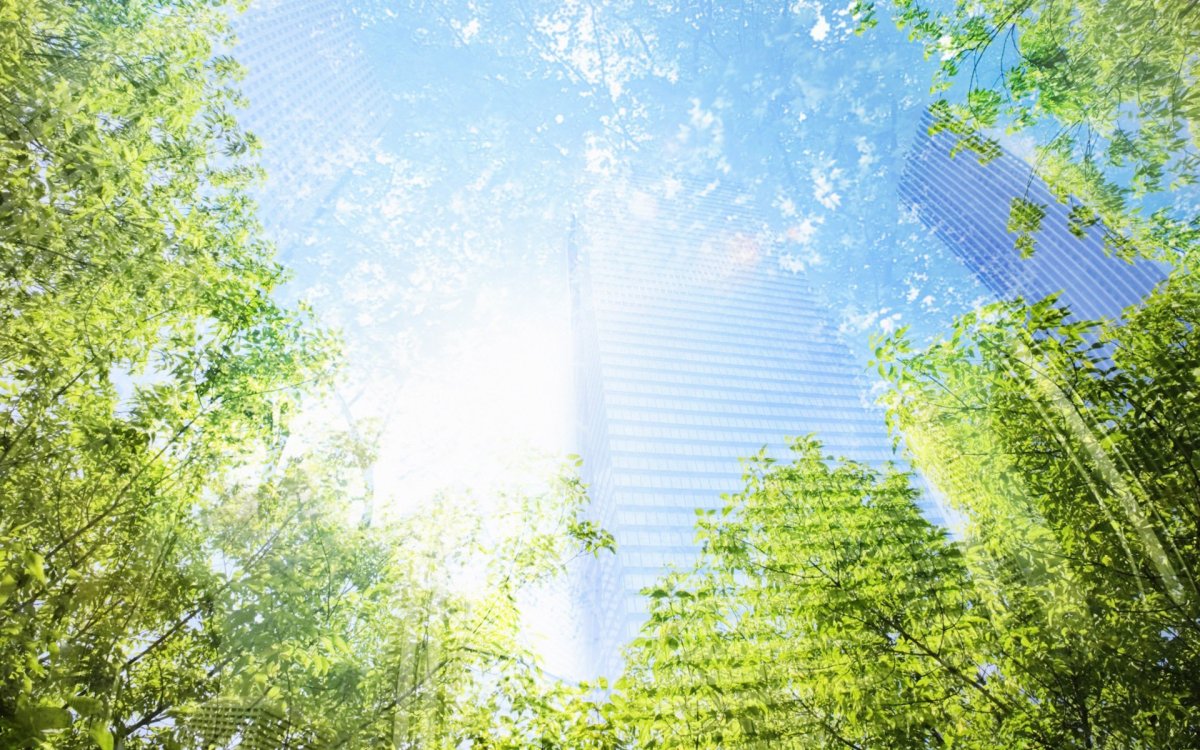 Солнечный день