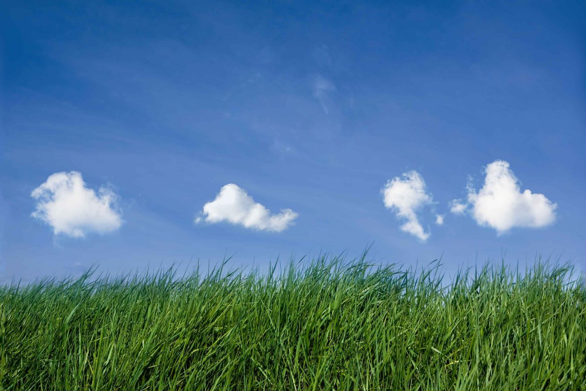 Чистый воздух