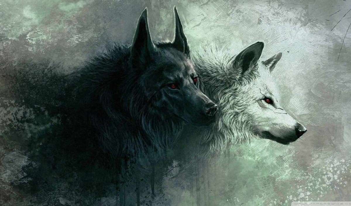 Фон для рабочего стола волк