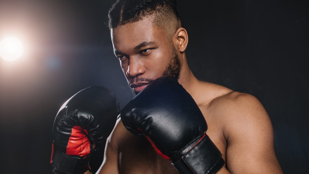 Боксер в перчатках