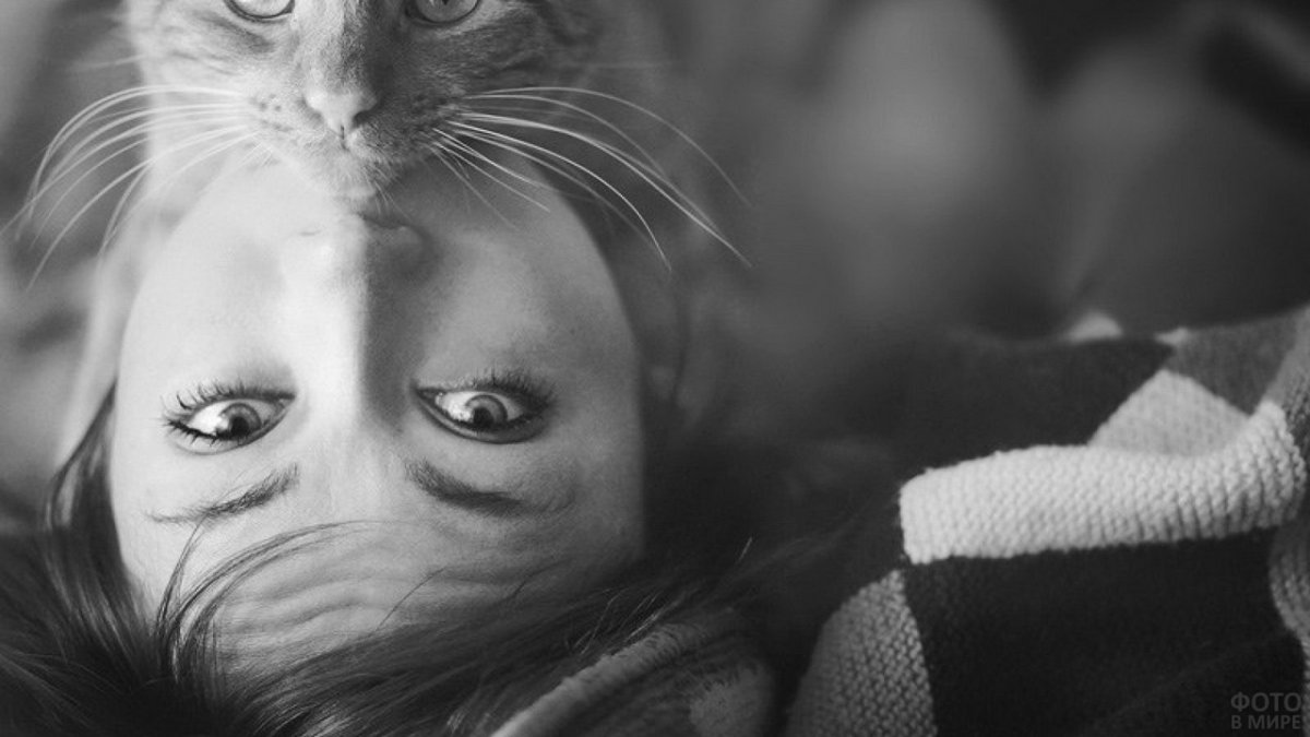 Девушка с котиком