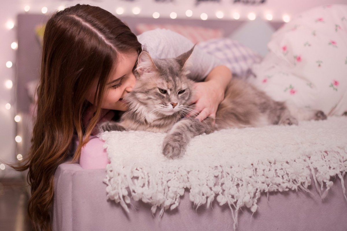 Красивая девушка с котиком