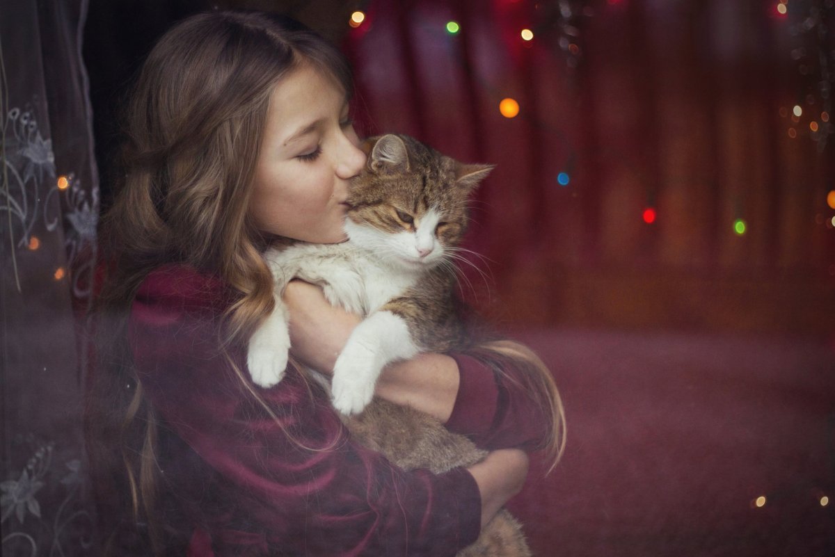 Девочка кошка арт