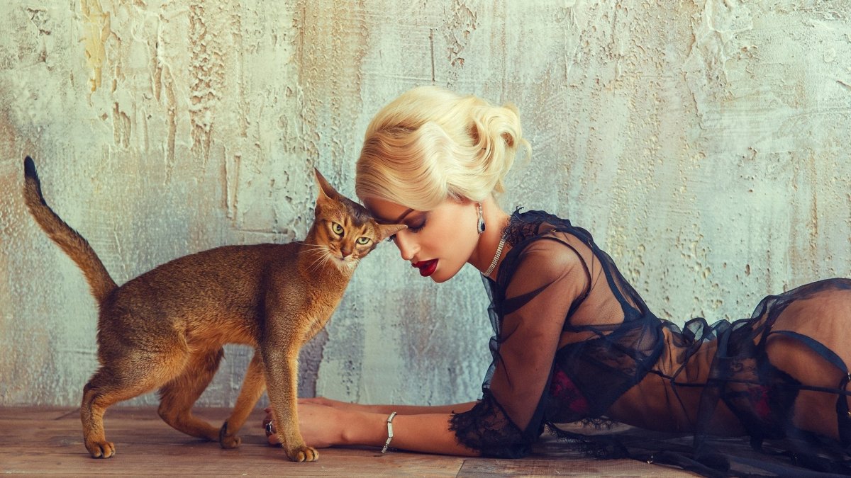 Девушка с котенком