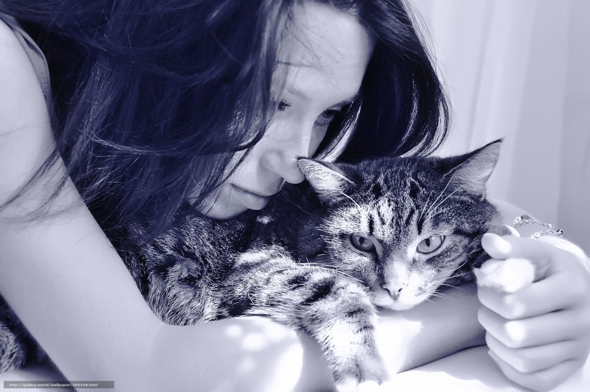 Девушка кошка