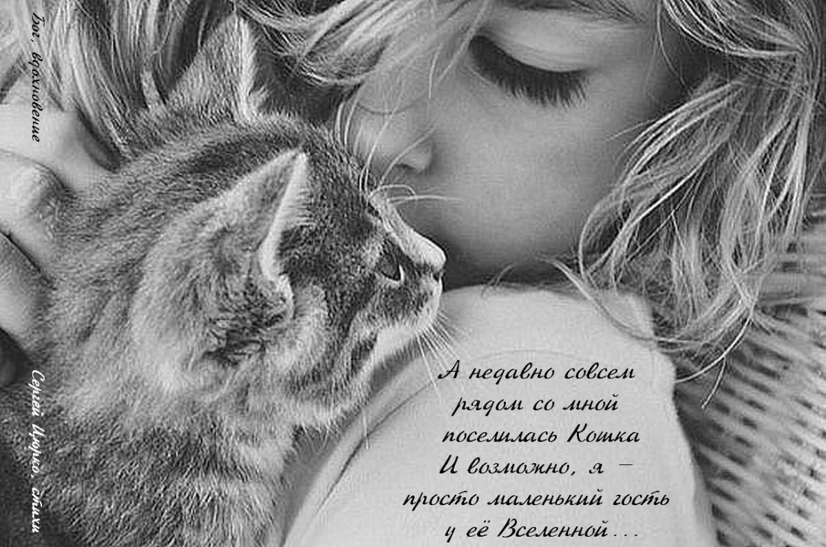 Девушка с котом на руках