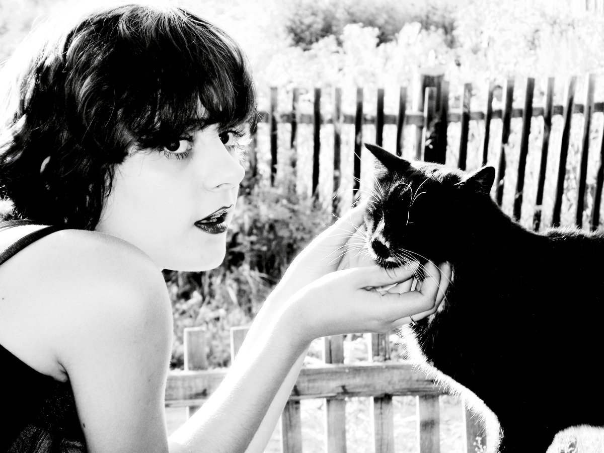 Фотосессия с черным котом