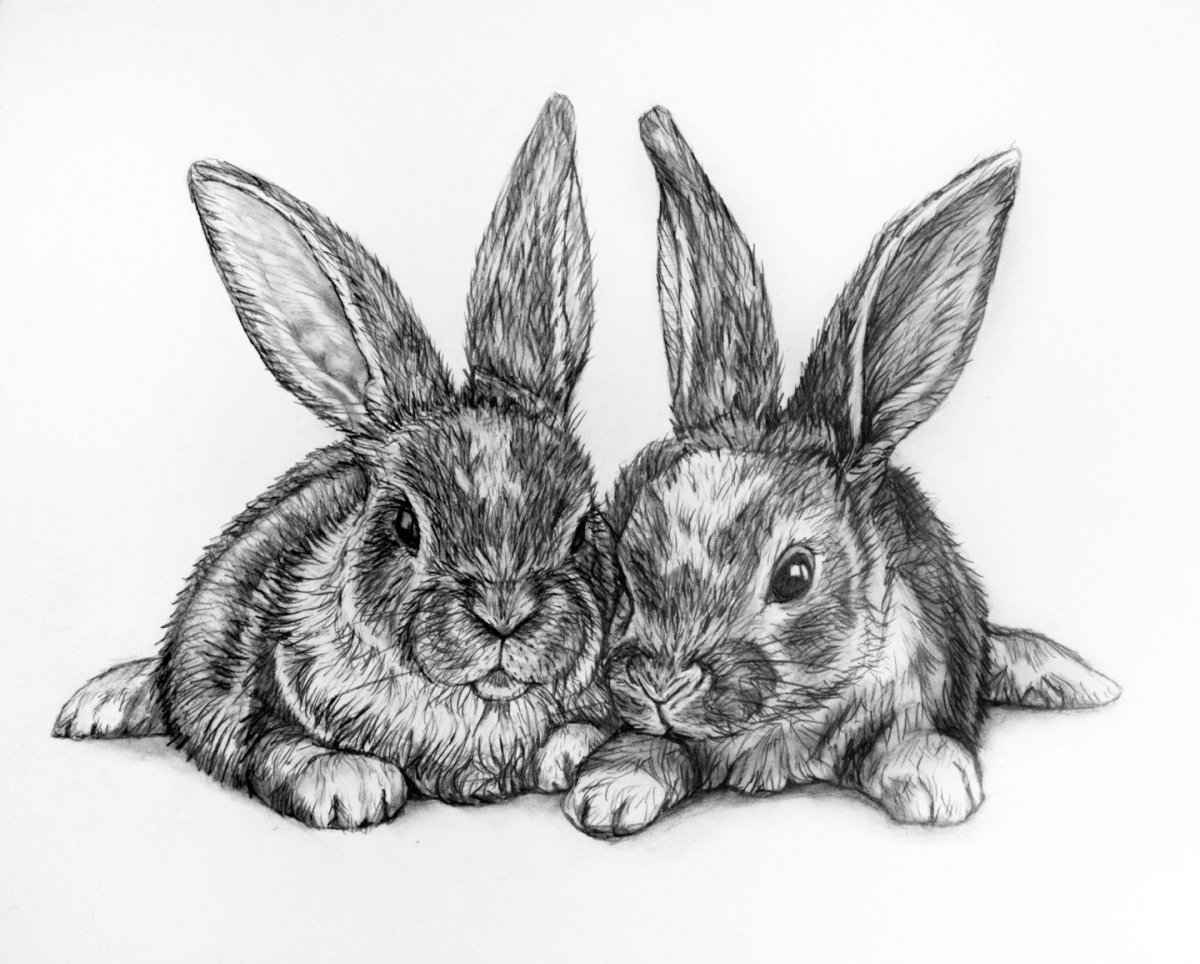 Пасхальный кролик раскраска