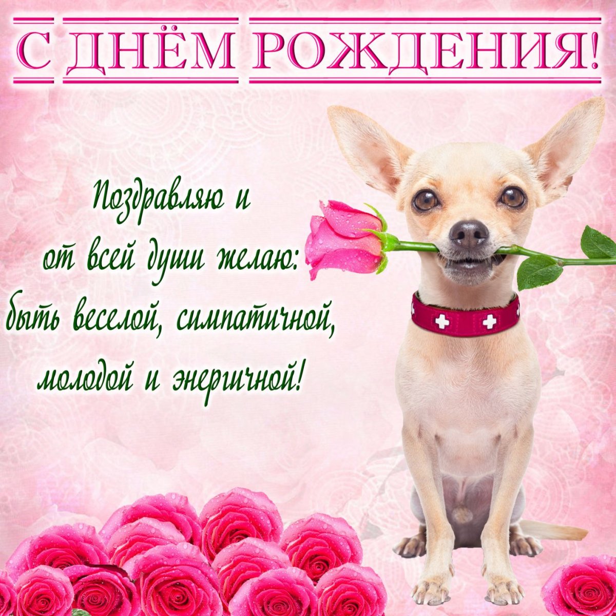 Красивые поздравления с днем рождения