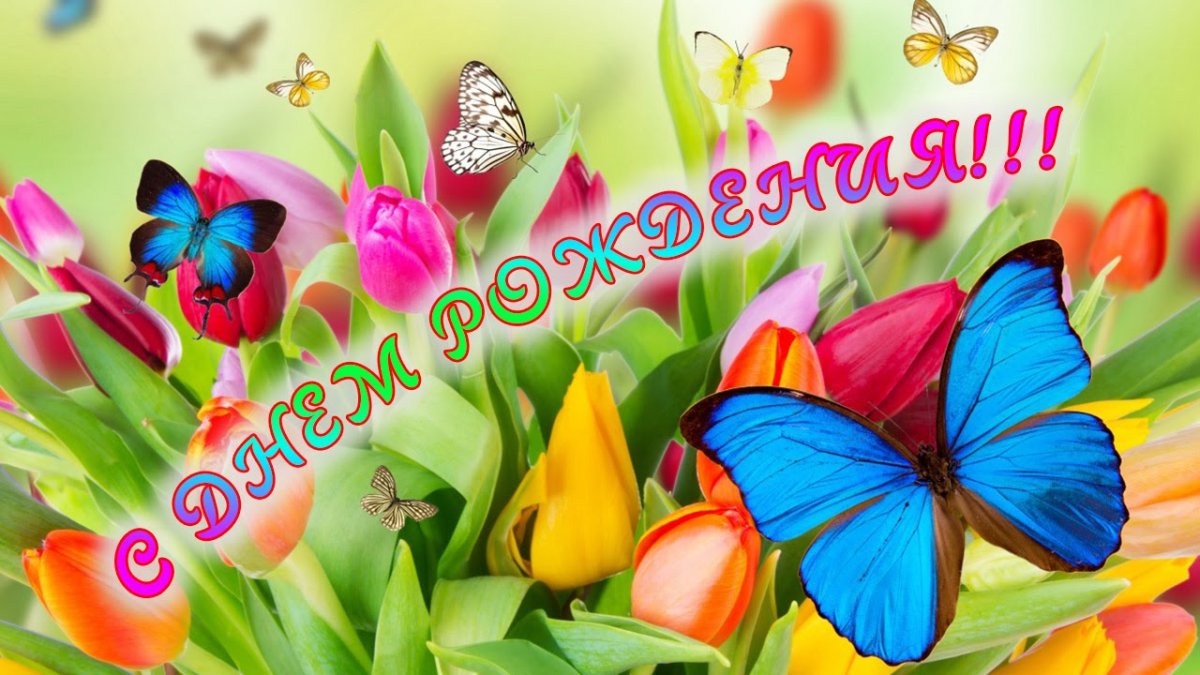 Стихи с днём рождения