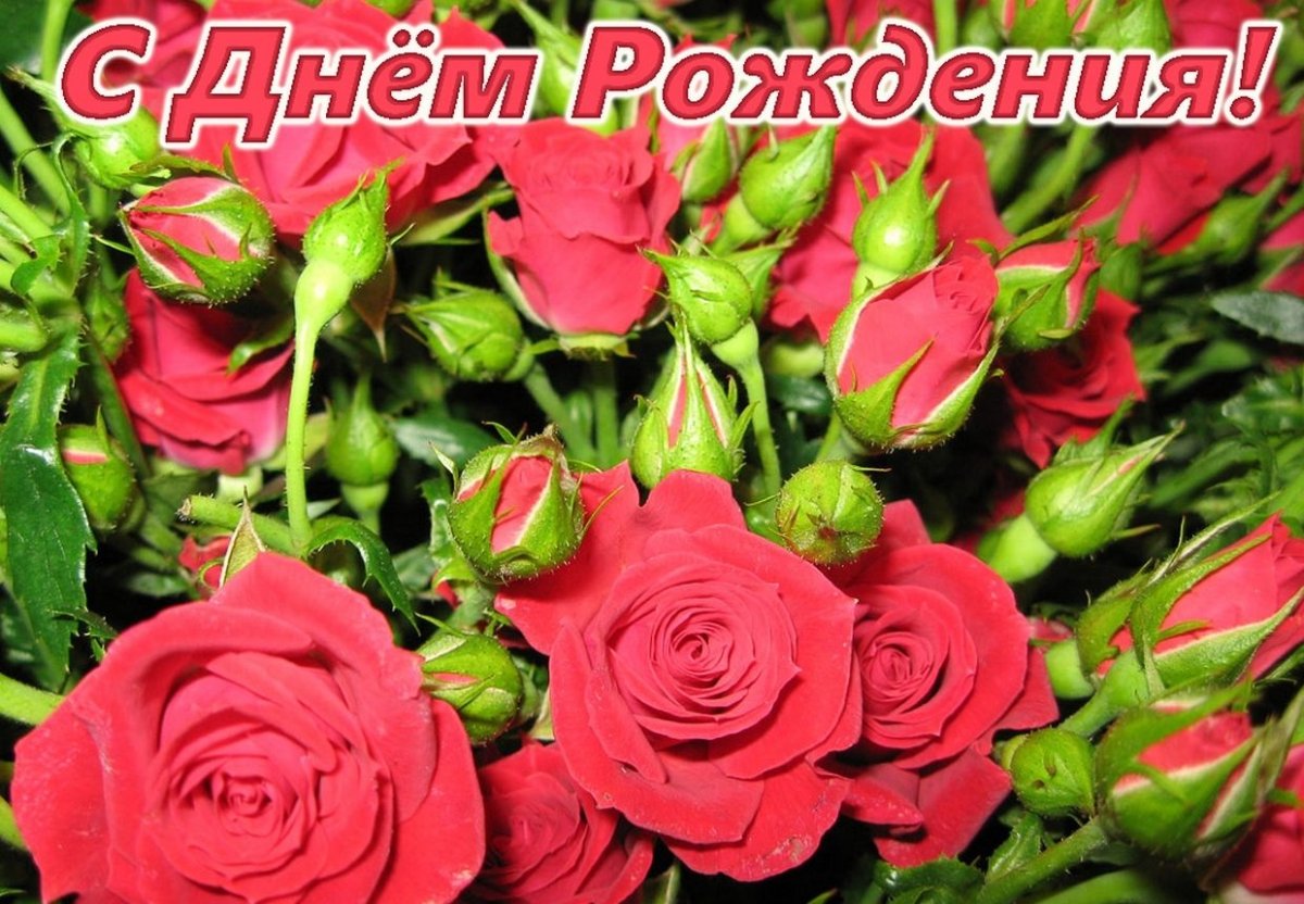 С днем рождения