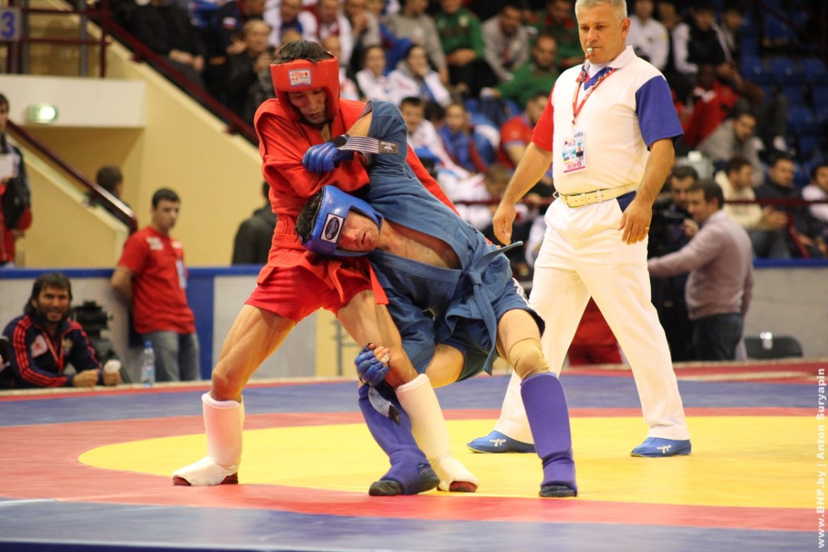 Спорт боевое самбо