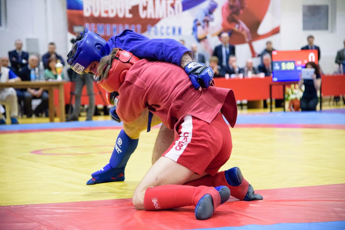 Смирнов боевое самбо