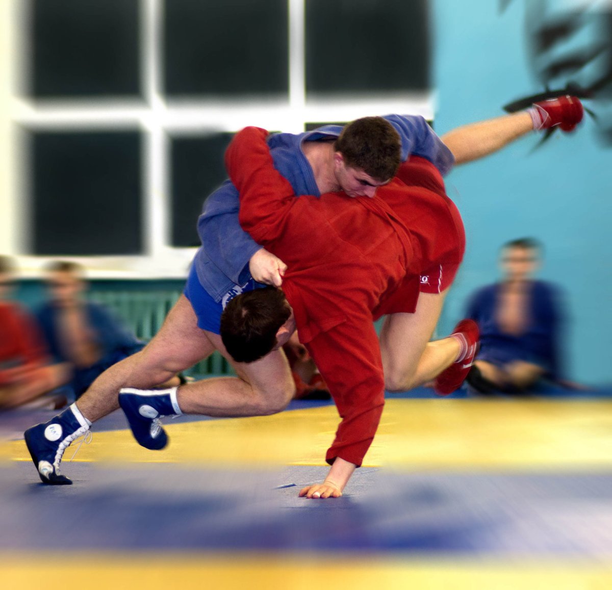 Смирнов боевое самбо