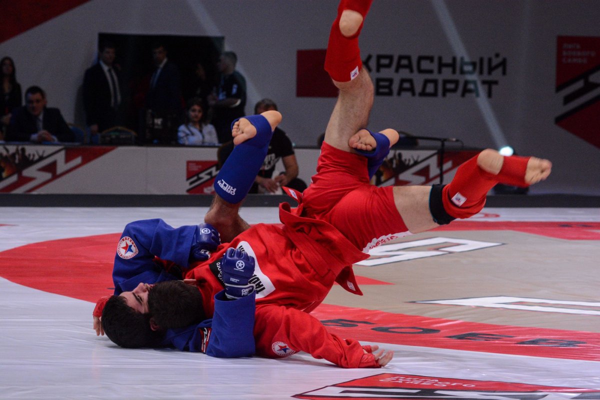 Борьба самбо Гулевич Звягинцев