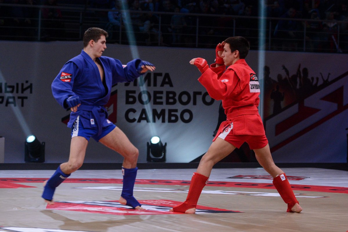 Боевое самбо Дмитрий Сиренко