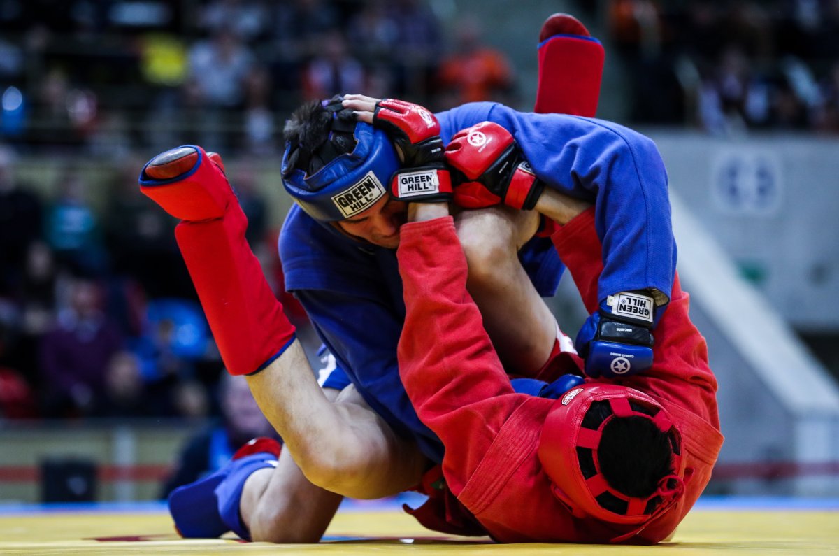 Самбо Чемпионат мира 2014 logo