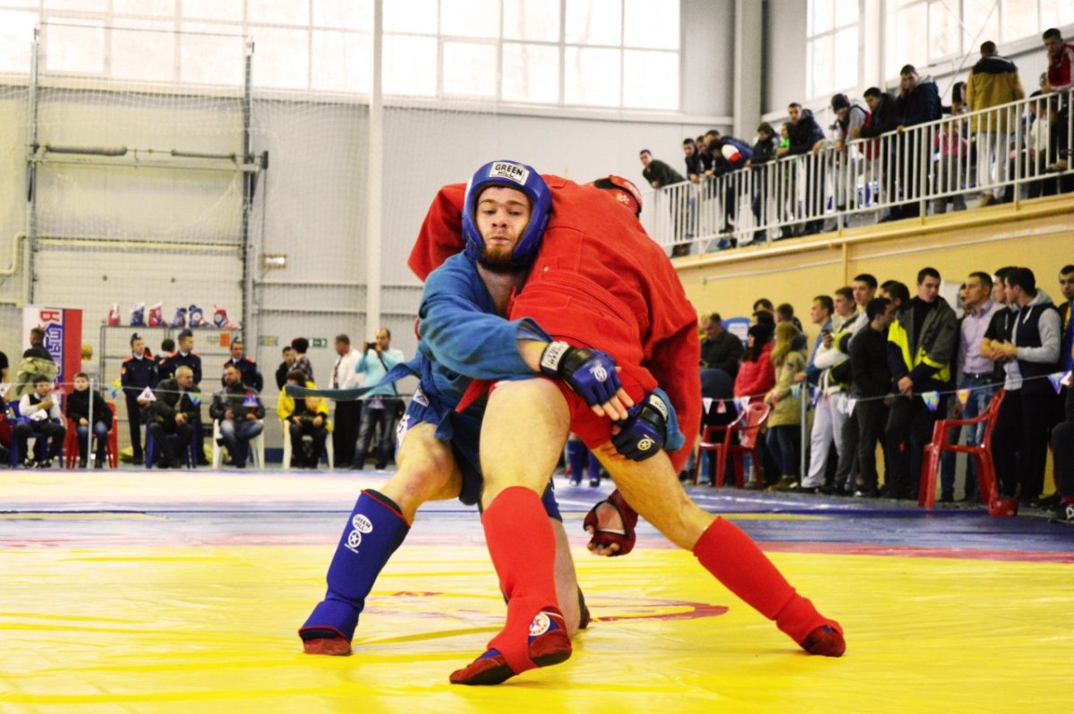 Малышев Николай боевое самбо-70