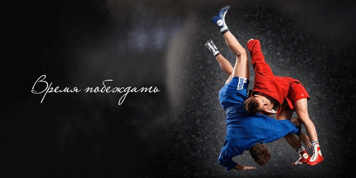 Боевое самбо арт