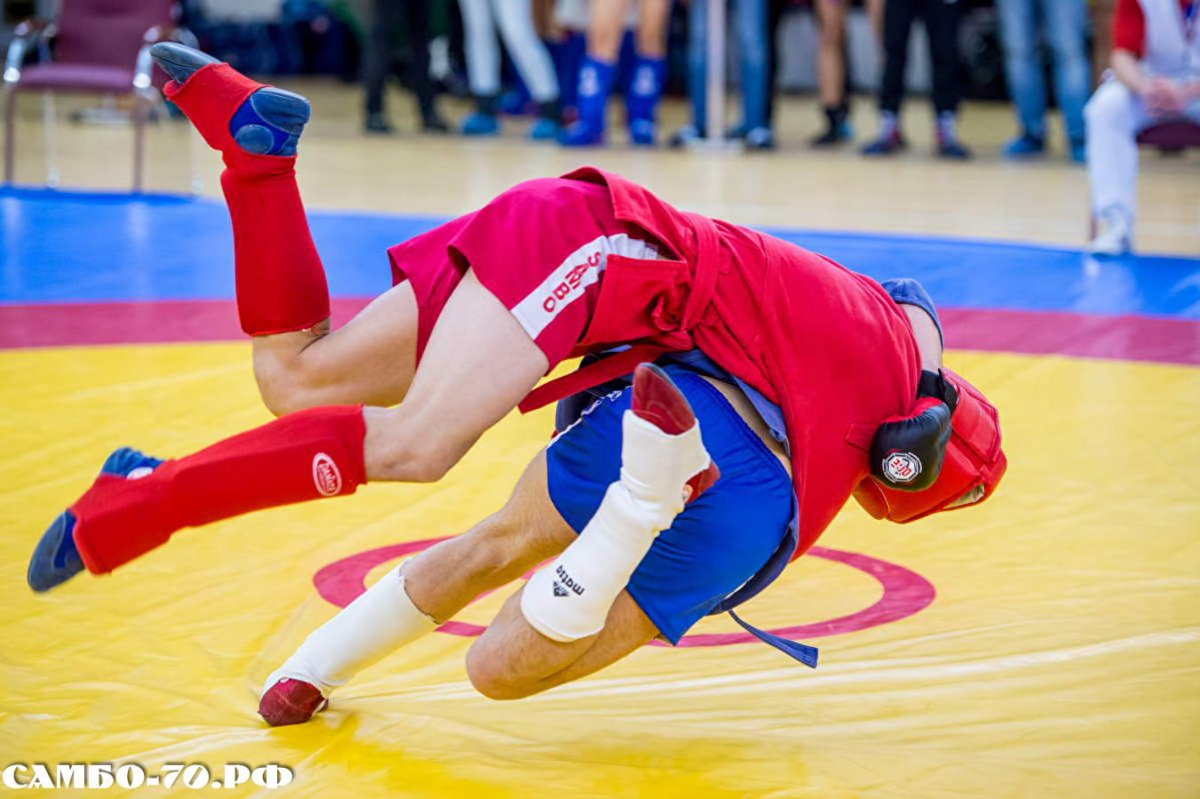 Боевое самбо Великие Луки