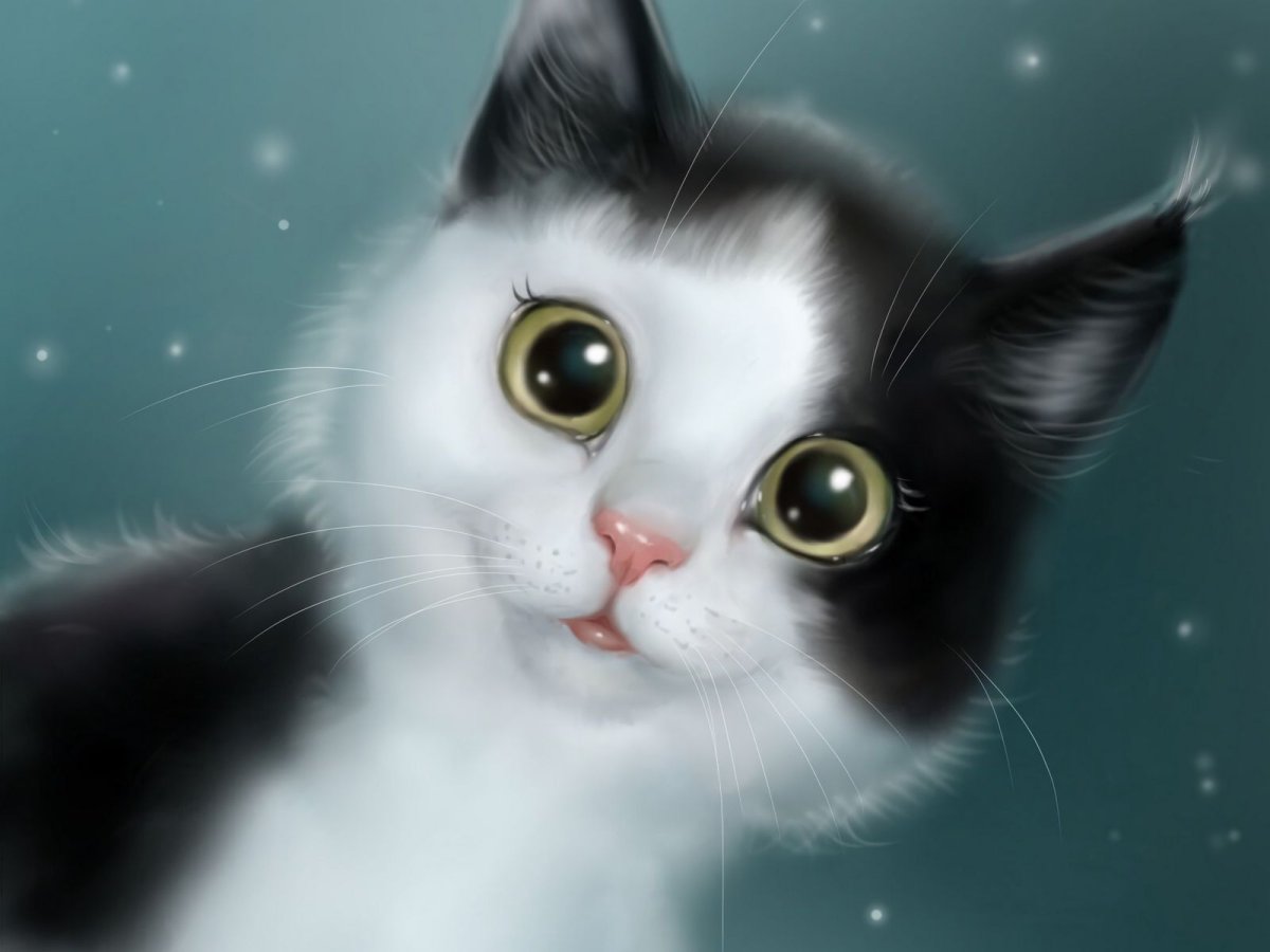 Красивые котики мультяшные