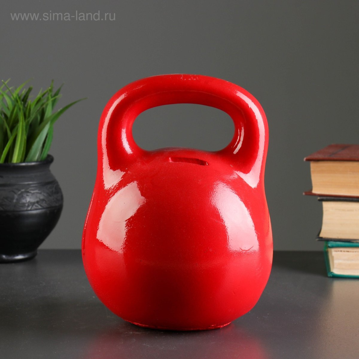 Гиря чугунная 24 кг Starfit