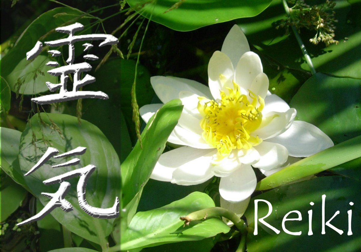 Рейки природа