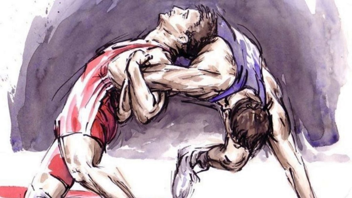 Вольная борьба Емельянов