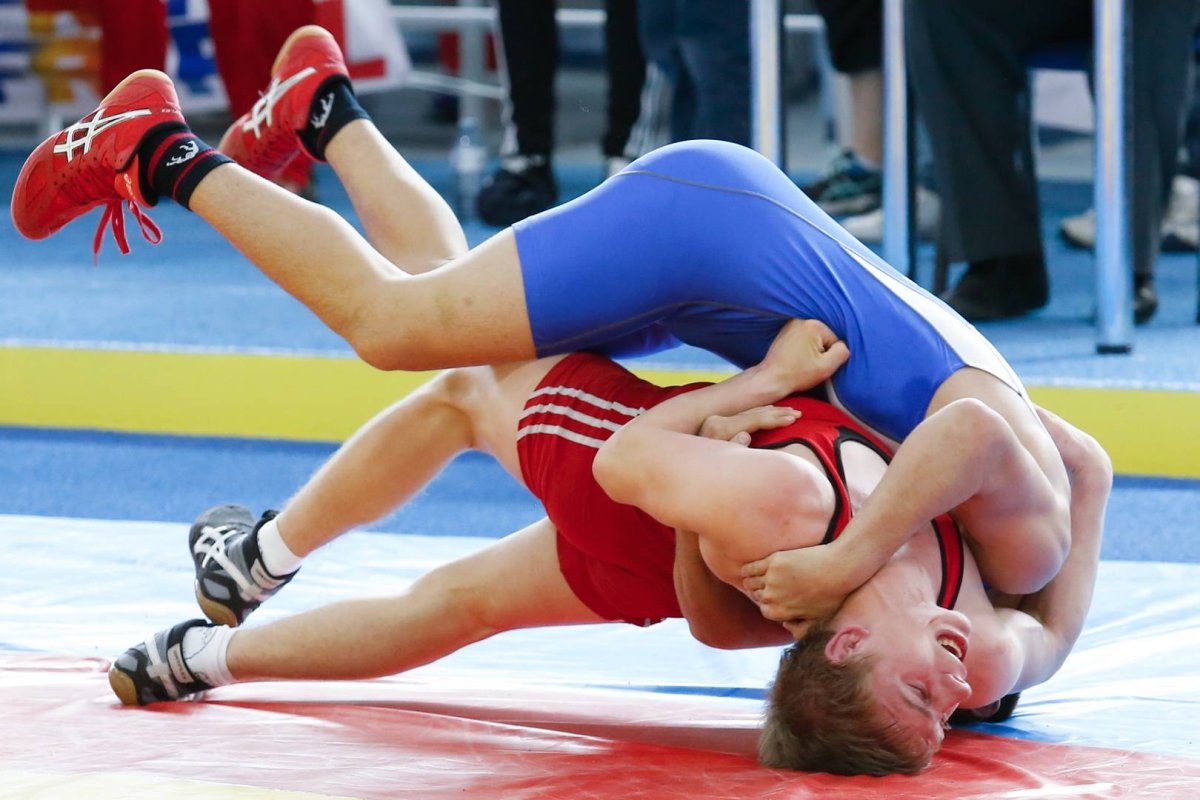 Борцы классики