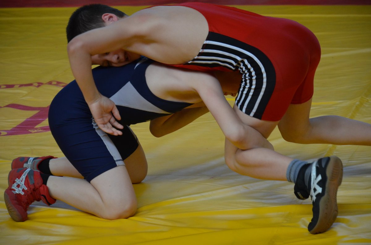 Вольная борьба дети