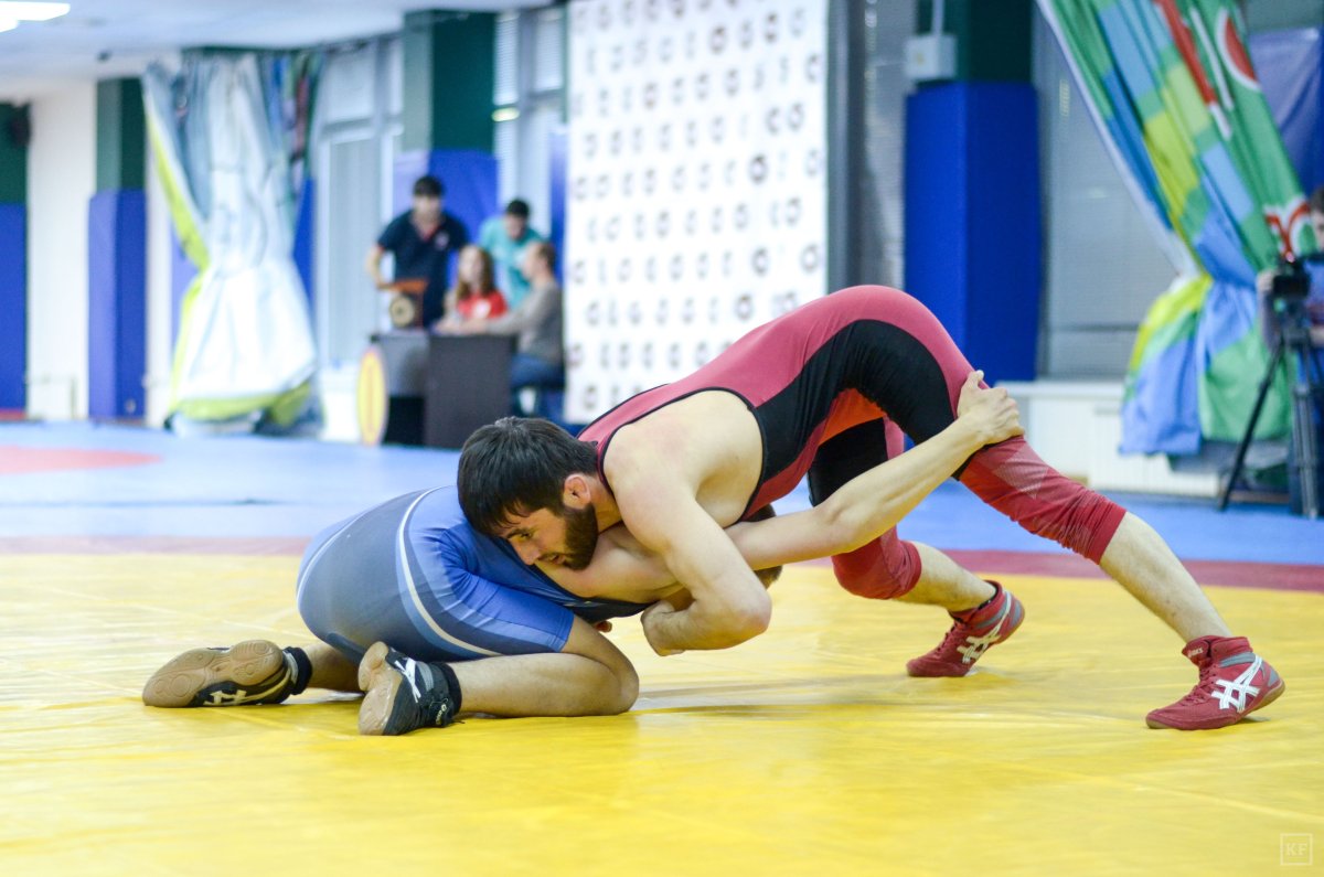 Вольная борьба борьба