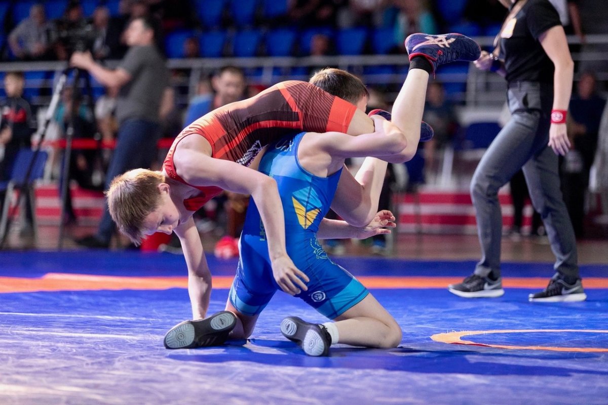 Вольная борьба