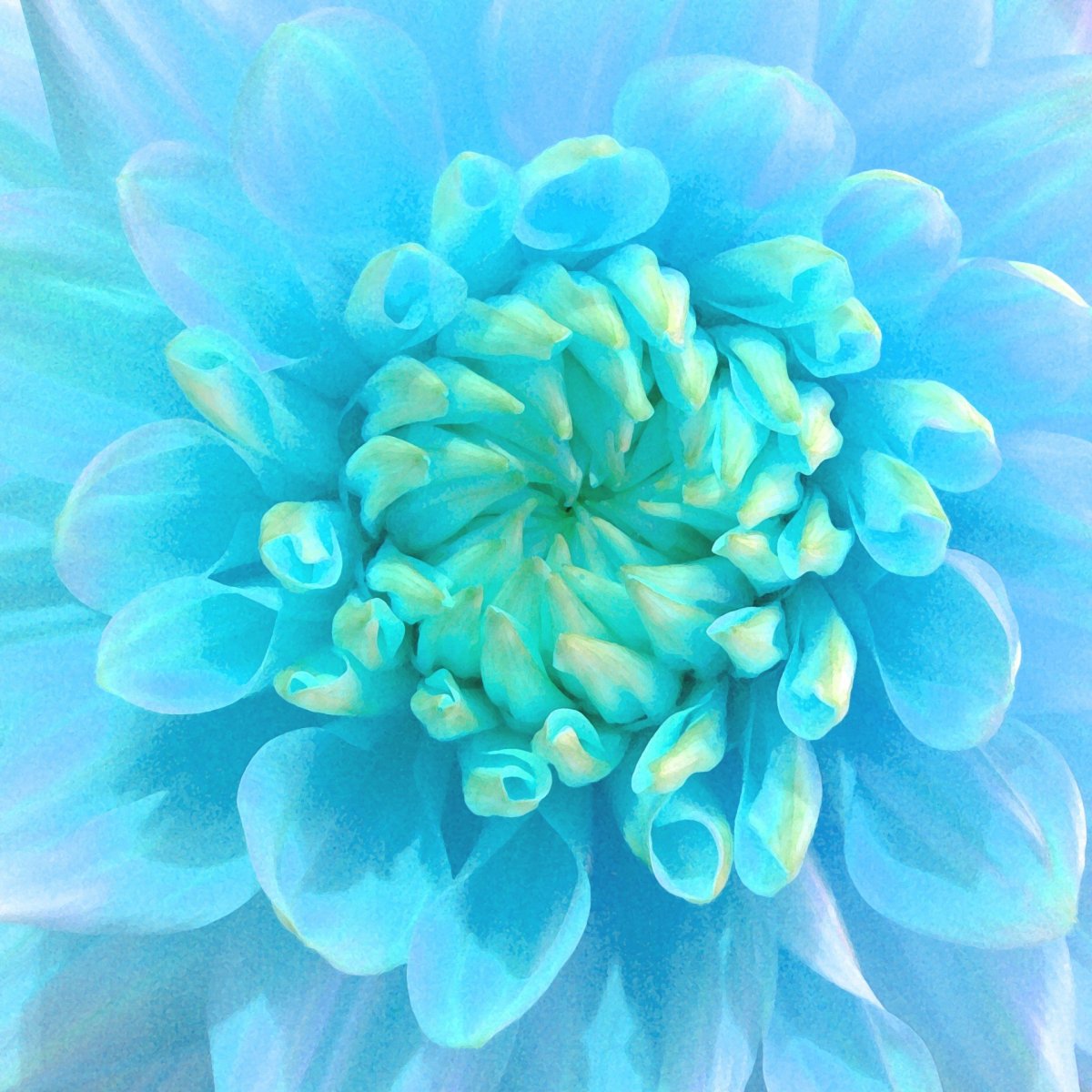 Гостиная в бирюзовом цвете