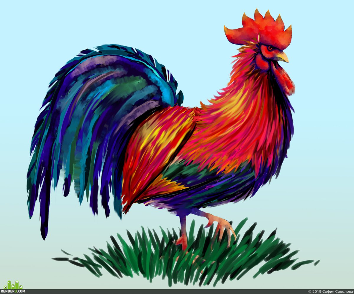 Цветной петух