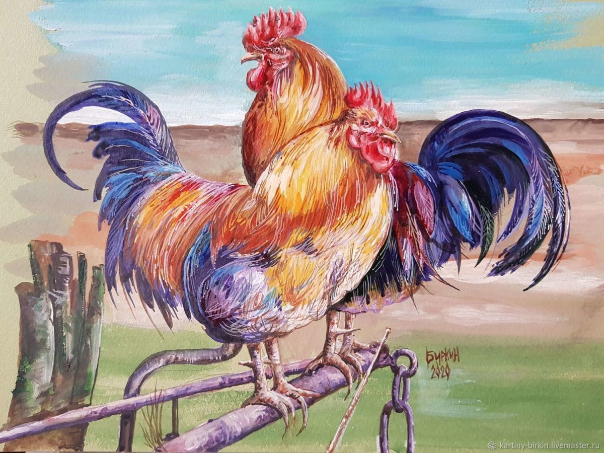 Петух картина